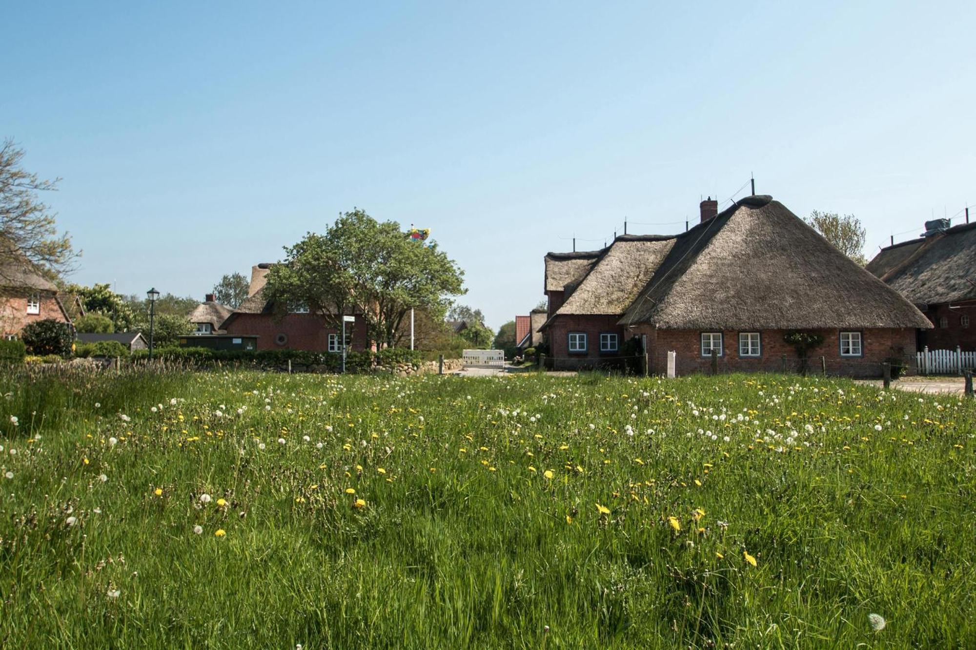 Reethus Gluecklicher Matthias Hausteil Waasterlun Oldsum Экстерьер фото
